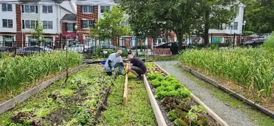 2 people doing farming